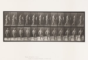 Placa 552. Hemiplejía; caminando con bastón, 1885 de Eadweard Muybridge
