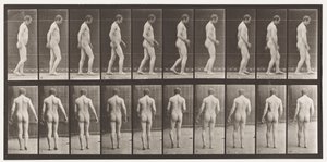 Placa 553. Después de un Traumatismo en la Cabeza; Caminando, 1885 de Eadweard Muybridge
