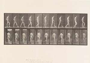 Placa 554. Ataxia Locomotora; Caminando, 1885 de Eadweard Muybridge