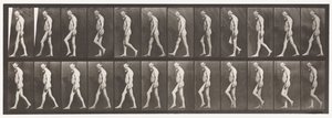 Placa 555. Atrofia muscular de las piernas; adulto, A,B, caminando, 1885 de Eadweard Muybridge