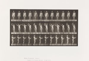 Placa 557. Corea local; A, B, C, mientras está de pie de Eadweard Muybridge