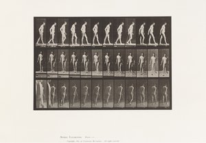Placa 559. Esclerosis diseminada; Caminando con bastón de Eadweard Muybridge