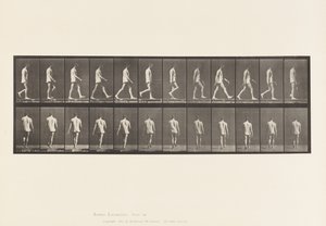Placa 560. Ataxia locomotora; caminando, 1885 de Eadweard Muybridge