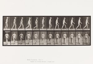 Placa 562. Curvatura Lateral de la Columna; Caminando de Eadweard Muybridge