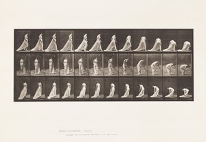 Placa 56. Caminando, girando y agachándose para levantar el tren de Eadweard Muybridge