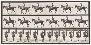 Placa 580. Caminando; silla; yegua pura sangre bayo Annie G., 1885 de Eadweard Muybridge