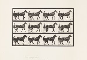 Placa 588. Caminando; sulky; caballo bayo Reuben de Eadweard Muybridge