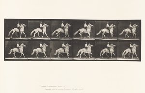 Placa 589. Amblando de Eadweard Muybridge