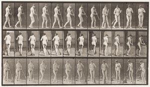 Placa 58. Caminando, girando, barriendo el suelo de Eadweard Muybridge