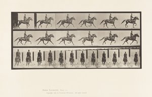 Placa 592. Paso de Andar; Silla; Caballo Marrón Pronto