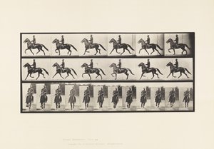 Placa 593. Paso de Andar; Silla; Caballo Marrón Pronto