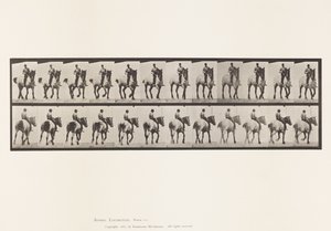 Placa 600. Trote; A pelo; Gris oscuro Dusel de Eadweard Muybridge