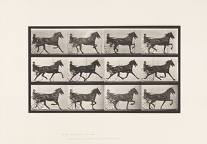 Placa 606. Trote; Sulky; Caballo Alazán, Reuben