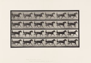 Placa 608. Trote; Sulky; Yegua Alazana, Flode Holden de Eadweard Muybridge
