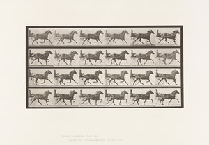 Placa 609. Trote; Sulky; Yegua Alazana, Lizzie M. de Eadweard Muybridge