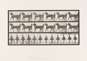 Placa 612. Trote; Sulky; Caballo Alazán, Dereumd de Eadweard Muybridge
