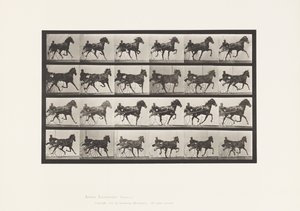 Placa 613. Trote; Sulky; Yegua Alazán Nellie Rose de Eadweard Muybridge