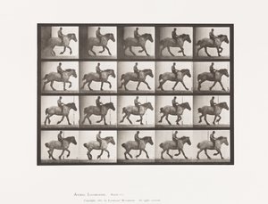 Placa 615. Trote: Sin Montura; Caballo Belga Oscuro-Gris Hansel de Eadweard Muybridge