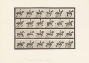 Placa 616. Medio Galope; Silla; Caballo Alazán Daisy