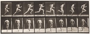Placa 61. Corriendo a toda velocidad de Eadweard Muybridge