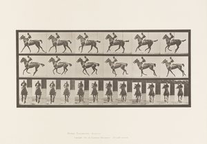 Placa 621. Medio Galope; Silla; Yegua Alazana Pura Sangre Annie 6 de Eadweard Muybridge