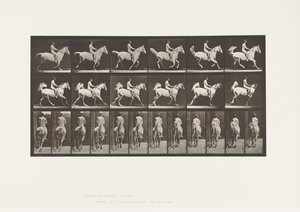 Placa 622. Galope; Silla; Jinete, 43, Desnudo; caballo gris Smith, 1885