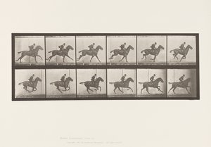 Placa 624. Galope; Silla; Caballo Alazán Daisy de Eadweard Muybridge