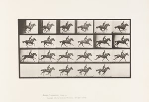 Placa 625. Galope; Caballo Alazán Pura Sangre Bouquet