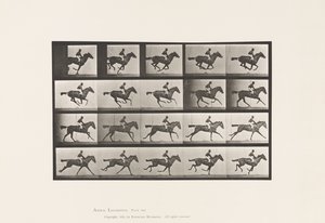 Placa 627. Galope; Yegua Pura Sangre Bay Annie G. de Eadweard Muybridge