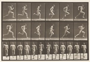 Placa 62. Corriendo a toda velocidad, 1872-1885 de Eadweard Muybridge