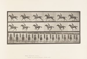 Placa 631. Galope; Silla; Caballo bayo de pura sangre Bouquet