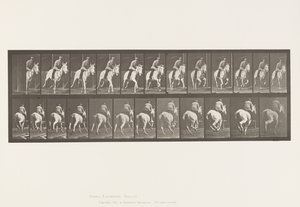 Placa 635. Galope; Silla; Yegua gris Pandora de Eadweard Muybridge