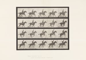 Placa 636. Saltando un obstáculo; Silla; Preparándose para el salto de Eadweard Muybridge