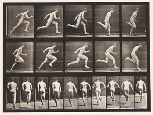 Placa 63. Corriendo a toda velocidad de Eadweard Muybridge