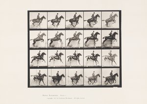 Placa 640. Saltando una valla; Silla de montar; Caballo bayo Daisy de Eadweard Muybridge