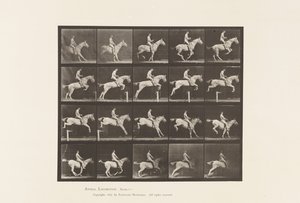 Placa 642. Saltando una valla; Silla; Jinete, 105, Desnudo; Yegua gris, 1885