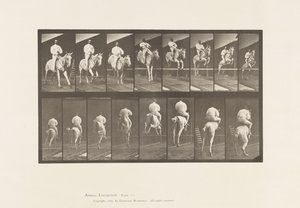 Placa 644. Saltando una Valla; Silla de Montar; Despeje y Aterrizaje de Eadweard Muybridge
