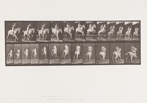 Placa 647. Saltando una Valla; Sin Silla; Jinete de Eadweard Muybridge