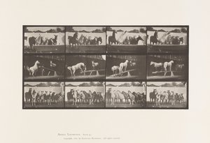 Placa 651. A, Tocando la campana; B, Tabla de equilibrio; C, Ejercicio militar de Eadweard Muybridge