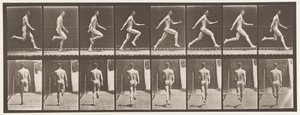 Placa 65. Corriendo a toda velocidad de Eadweard Muybridge