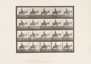 Placa 666. Asno; Caminando; Silla; Una Niña Montando, Zoológico de Eadweard Muybridge