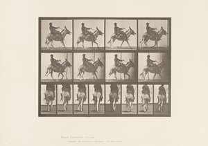 Placa 668. Asno; Amblando; Silla; Un niño montando, Zoológico de Eadweard Muybridge