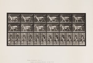 Placa 678. Cabra; Trotando, en Sulky de Eadweard Muybridge