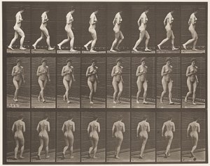 Placa 70. Corriendo de Eadweard Muybridge