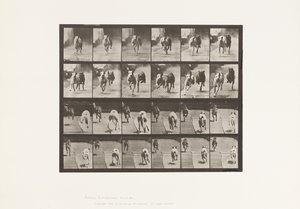 Placa 711. Perros; Dos Corriendo; A, B; Perros de Carrera, Ike & Maggie de Eadweard Muybridge
