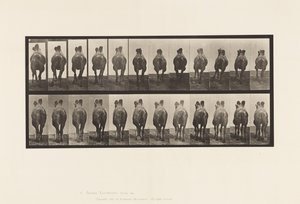 Placa 741. Camello bactriano; A, Caminando; B, Andando de Eadweard Muybridge
