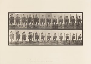 Placa 742. Camello bactriano; A, Andando; B, Galopando de Eadweard Muybridge