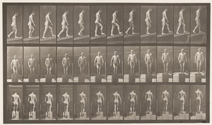 Placa 74. Ascendiendo pendiente, ángulo 1 en 4 de Eadweard Muybridge