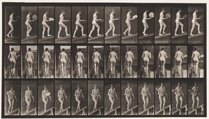 Placa 78. Subiendo una pendiente, coqueteando con un abanico de Eadweard Muybridge