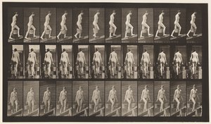 Placa 81. Ascendiendo pendiente de Eadweard Muybridge